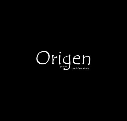 Origen - Diseño de página web